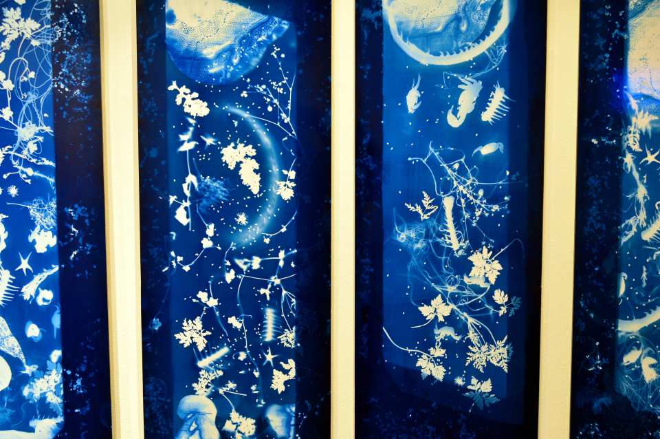 The slate slab fences, keeping shore and field apart, form textured screens projecting layered details of setting and time. Maps, plants and bones leave imprints both natural and man-made recalling fossils and ancient traces.